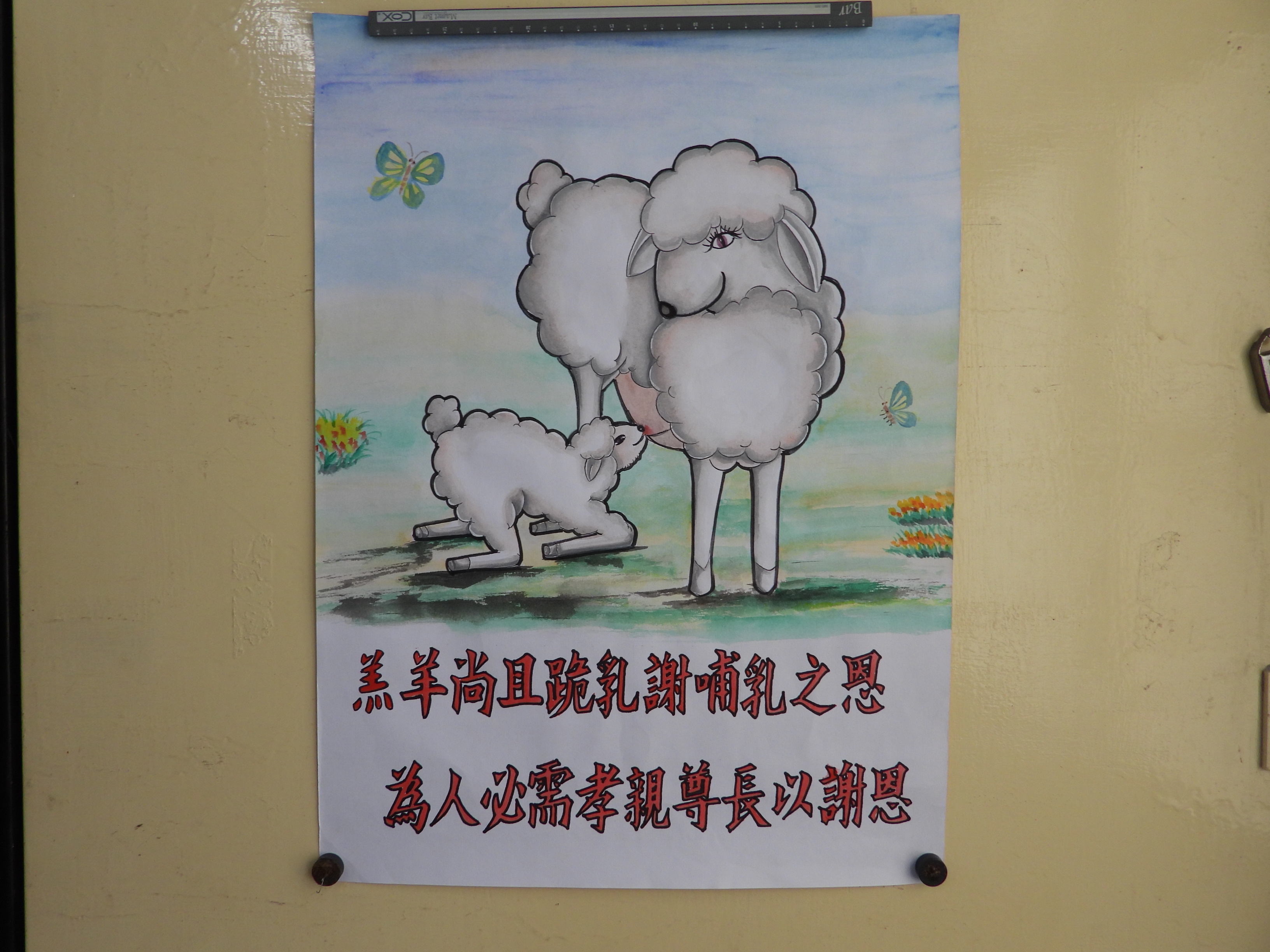 Character education poster contest work- A lamb kneels down to suckle