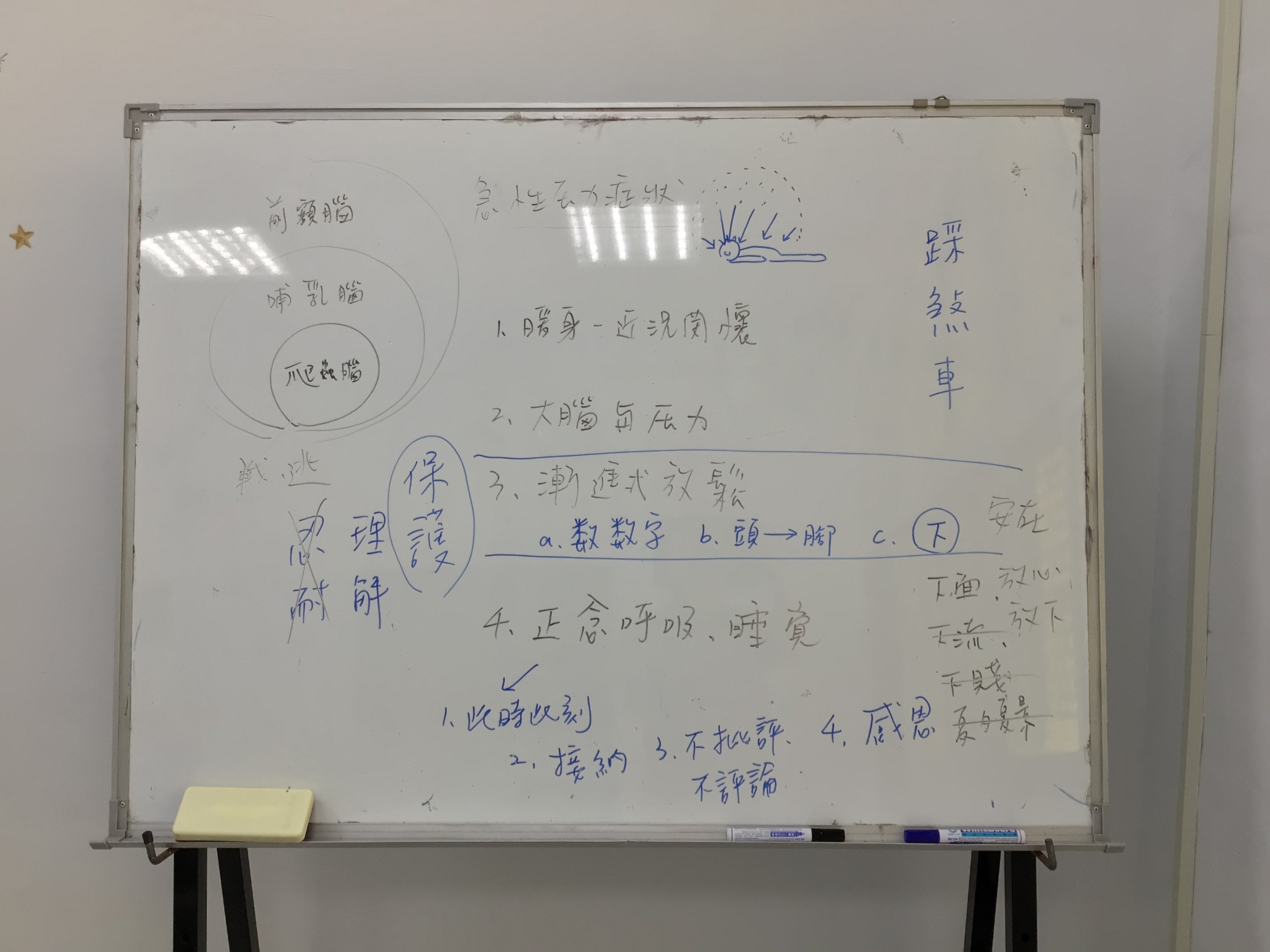 幫助學員理解進漸式放鬆